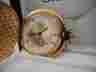 0001 Colibri Goldtone Gold White Face Pocket Watch W Subdial New As-is