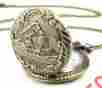 40699 Alienwolf Unisex Antique Case Vintage Brass Rib Chain Quartz Pocket Watch Train 799665775605