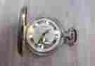7-e1739 Elgin Antique Pocket Watch With Enameled Full Hunter Case