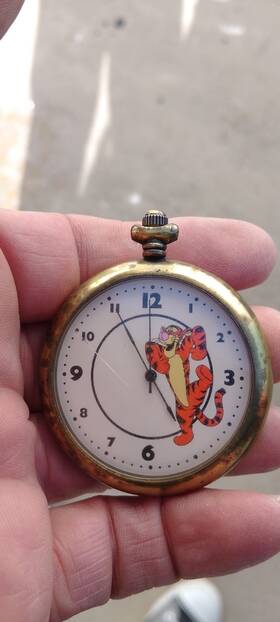 Ds-1087 Disny Pocket Watch