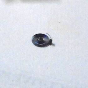 2516 Elgin Seth Thomas 6 Size Pocket Watch Hairspring Nos Br - 126