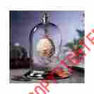 Pr2516 Design Toscano Pocket Watch Display Box Glass Dome Keepsake Heirloom Jewelry Storage Brass Case 846092039531