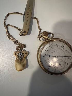 10500783 Waltham 1901 Usa Gold Watch Chain Pen Knife Elk Tooth Fob B.p.o.e