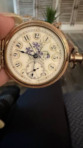415745 Waltham Antique 1891 Pocket Watch Floral Enamel Hunter Case Hand Painted Dial