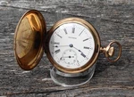 1899 Waltham 20YRS Gf Stag Deer Hunt Case Pocket Watch 6S 15J Gr: Seaside Runs. Fixed Price $375.00.