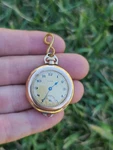 Antique Elgin Gold Filled Ladies Pocket Watch 20865563 Mvmt Wadsworth Not Workin. Fixed Price $75.00.