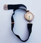 Ultra Rare,unique Women's Antique Pocket Watch 15JEWELS. Wadsworth Case. Fixed Price $153.00.