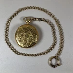 Estate Find Arnex Pocket Watch Swiss 17 Jewel Gold Plated Hunter Case Vintage. Fixed Price $149.96.