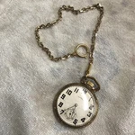 1900 Illinois Watch Company 17 Jewels Double Roller Open Face Pocket. Fixed Price $176.99.