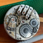 1903 Elgin Grade 243 16S 17 J Finger Hunting Case Pocket Watch Movement Repair. Fixed Price $250.00.