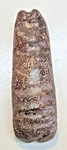 Chinese Nephrite Jade Archaic Silkworm Pendant Ribbed Russet 45.6G Sg 2.92. Fixed Price $165.00.