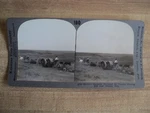 Stereoview Card Keystone #16735 Manure Spreader & Case Farm Tractor By Omaha. Fixed Price $9.99.