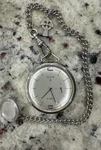 Rare Vintage 1950S Elgin Grade 732 10K Rgp Pocket Watch W/sterling Silver Chain!. Fixed Price $210.00.