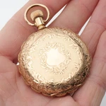 1895 Elgin 6S Grade 117 Model 2 Gold Filled Hunter Case 7J Antique Pocket Watch. Fixed Price $449.99.