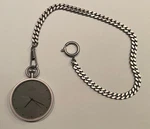 Skagen Pocket Watch Model 19UTT. Fixed Price $50.00.