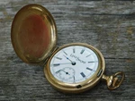 Lake Shore Pocket Watch 15 Jewels Hunter Gold Napoleon Illinois Case. Fixed Price $139.99.